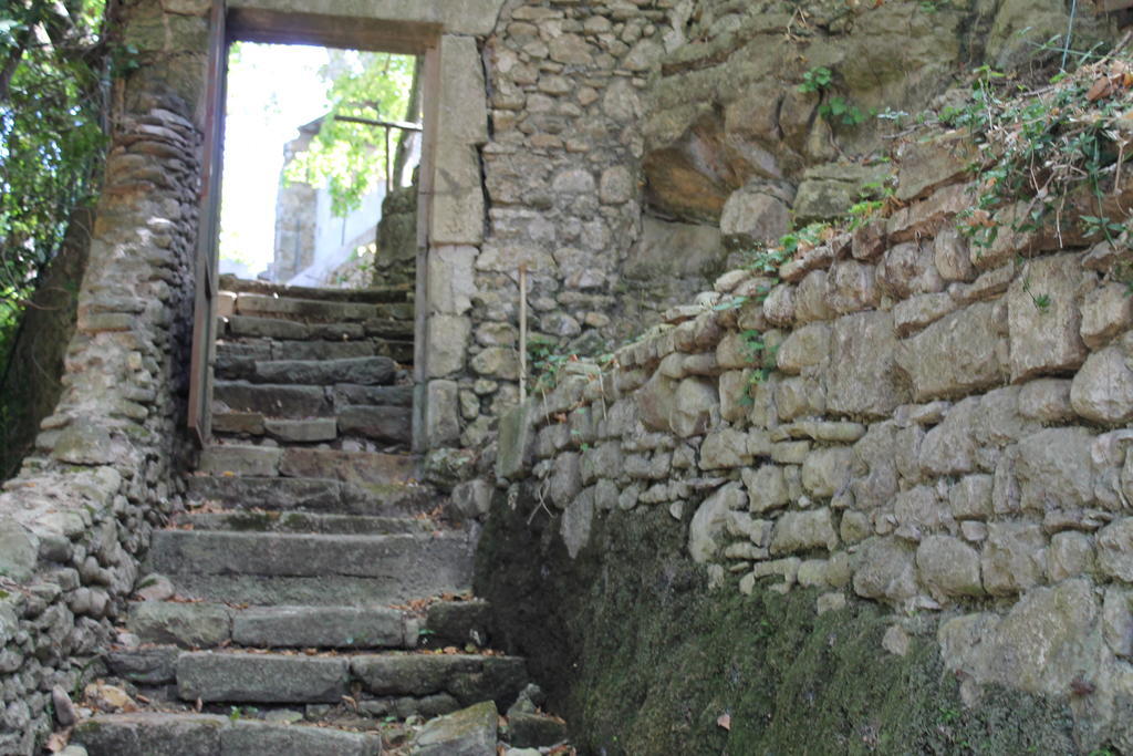 Bed and Breakfast L'Ecrin D'Osely Lodève Exterior foto