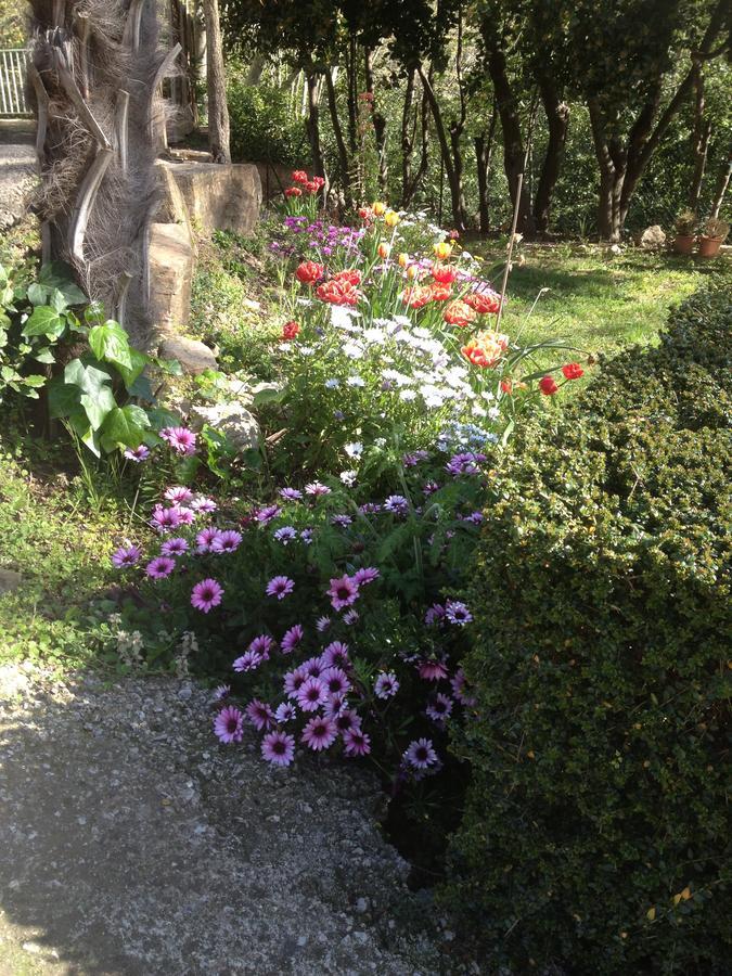 Bed and Breakfast L'Ecrin D'Osely Lodève Exterior foto